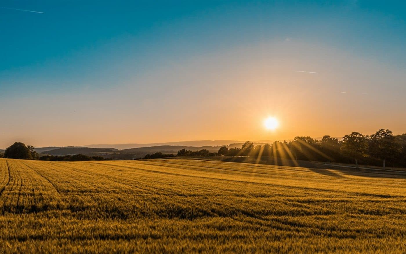 Agriculture